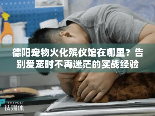 德阳宠物火化殡仪馆在哪里？告别爱宠时不再迷茫的实战经验