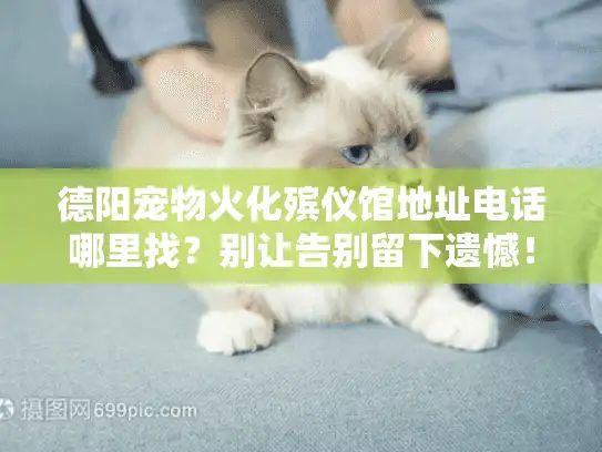德阳宠物火化殡仪馆地址电话哪里找？别让告别留下遗憾！