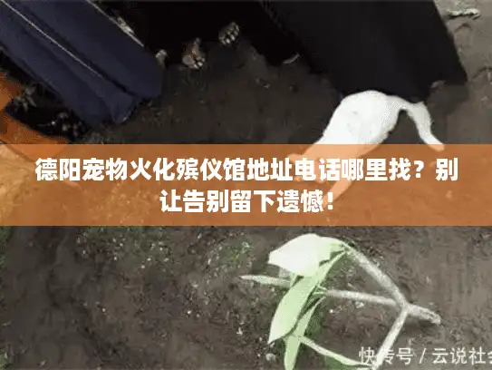 德阳宠物火化殡仪馆地址电话哪里找？别让告别留下遗憾！