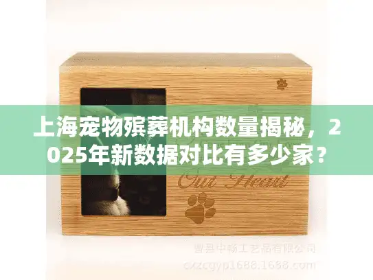 上海宠物殡葬机构数量揭秘，2025年新数据对比有多少家？