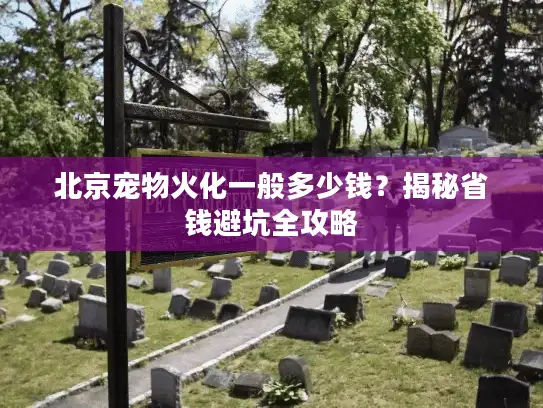 北京宠物火化一般多少钱？揭秘省钱避坑全攻略