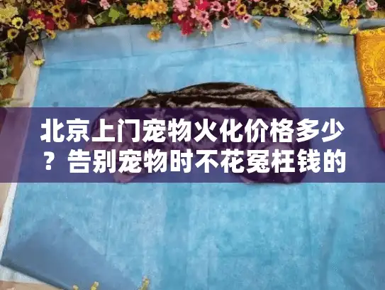 北京上门宠物火化价格多少？告别宠物时不花冤枉钱的紧急行动指南