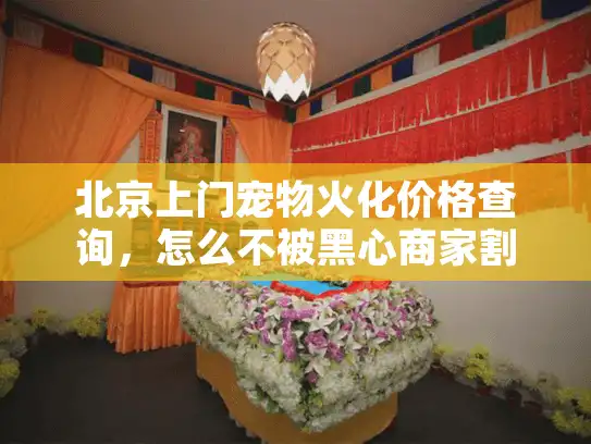 北京上门宠物火化价格查询，怎么不被黑心商家割韭菜？