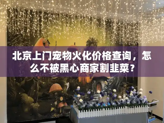 北京上门宠物火化价格查询，怎么不被黑心商家割韭菜？