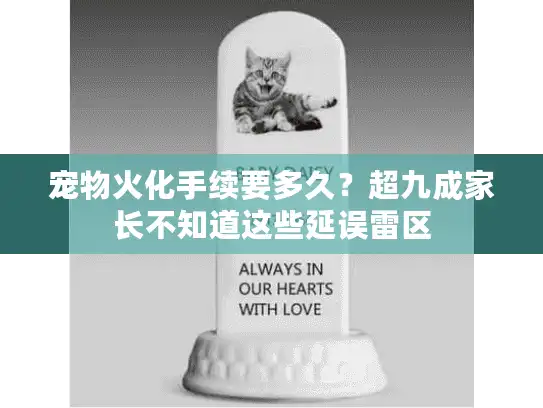 宠物火化手续要多久？超九成家长不知道这些延误雷区