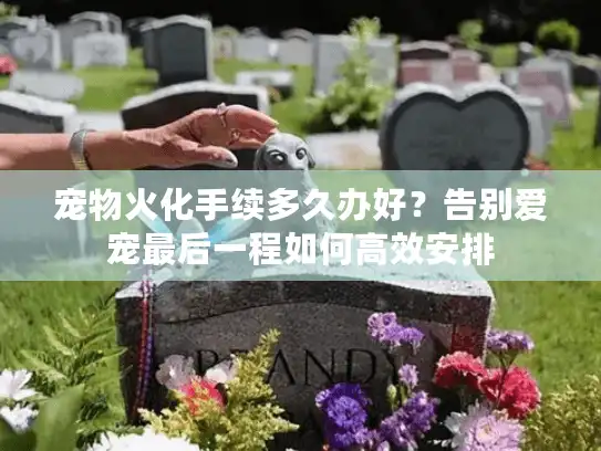 宠物火化手续多久办好？告别爱宠最后一程如何高效安排