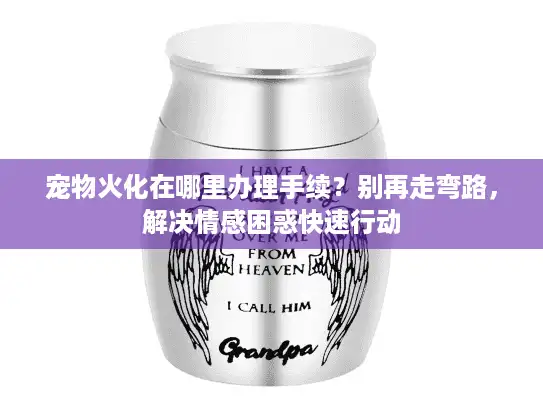 宠物火化在哪里办理手续？别再走弯路，解决情感困惑快速行动