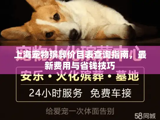 上海宠物殡葬价目表查询指南，最新费用与省钱技巧