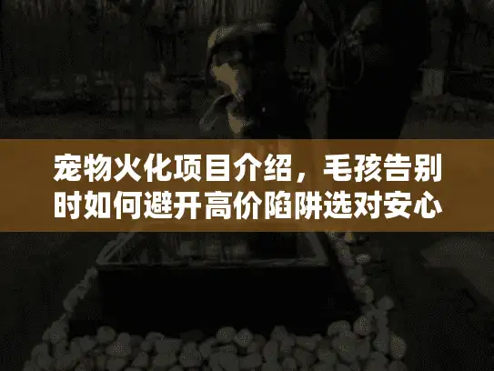 宠物火化项目介绍，毛孩告别时如何避开高价陷阱选对安心服务？