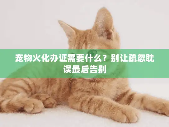 宠物火化办证需要什么？别让疏忽耽误最后告别