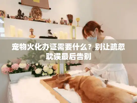 宠物火化办证需要什么？别让疏忽耽误最后告别