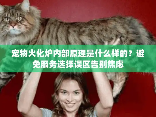 宠物火化炉内部原理是什么样的？避免服务选择误区告别焦虑