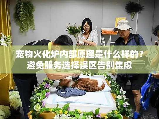 宠物火化炉内部原理是什么样的？避免服务选择误区告别焦虑