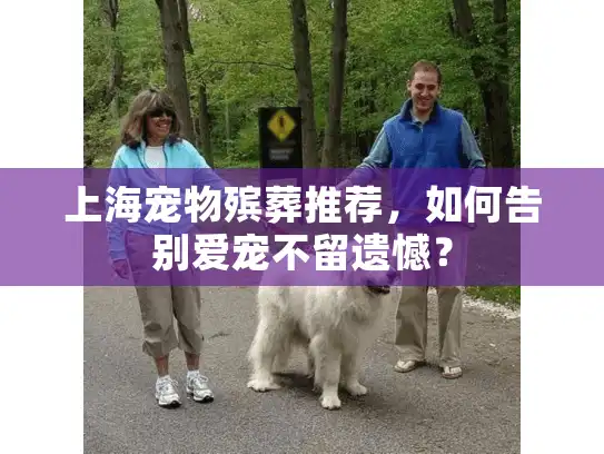上海宠物殡葬推荐，如何告别爱宠不留遗憾？