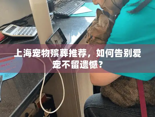 上海宠物殡葬推荐，如何告别爱宠不留遗憾？