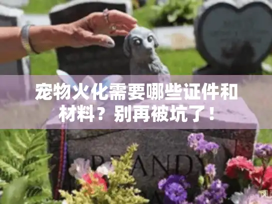 宠物火化需要哪些证件和材料？别再被坑了！