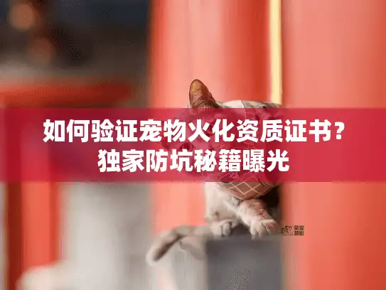 如何验证宠物火化资质证书？独家防坑秘籍曝光
