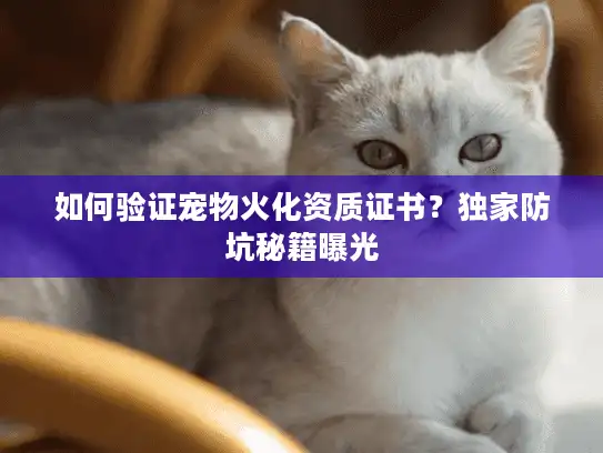 如何验证宠物火化资质证书？独家防坑秘籍曝光