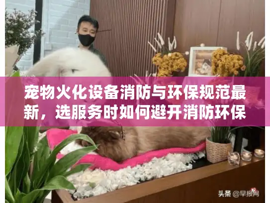 宠物火化设备消防与环保规范最新，选服务时如何避开消防环保隐患？