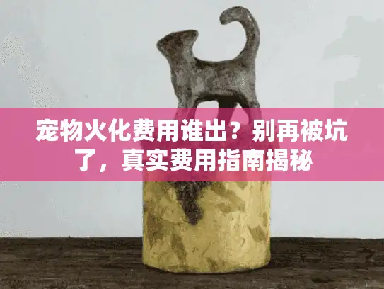 宠物火化费用谁出？别再被坑了，真实费用指南揭秘
