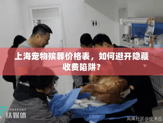 上海宠物殡葬价格表，如何避开隐藏收费陷阱？