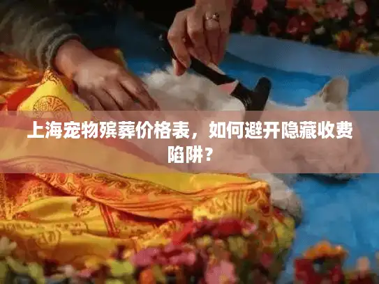 上海宠物殡葬价格表，如何避开隐藏收费陷阱？