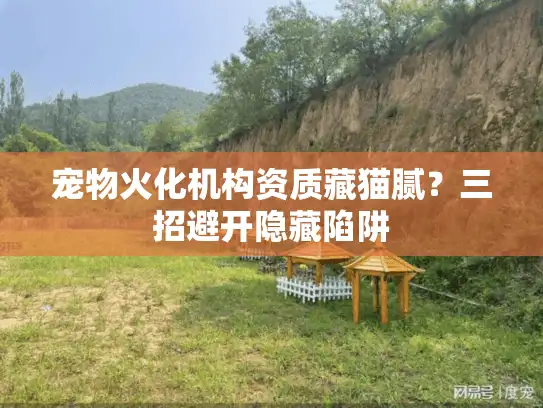 宠物火化机构资质藏猫腻？三招避开隐藏陷阱