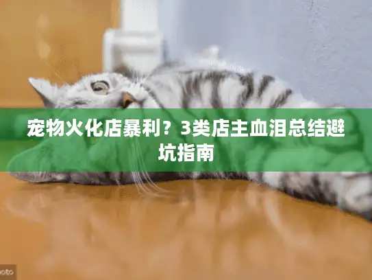 宠物火化店暴利？3类店主血泪总结避坑指南