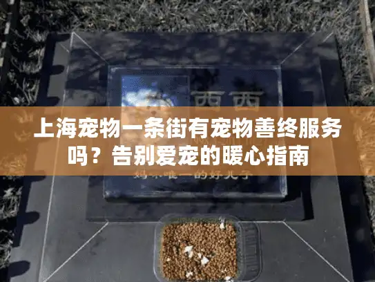 上海宠物一条街有宠物善终服务吗？告别爱宠的暖心指南