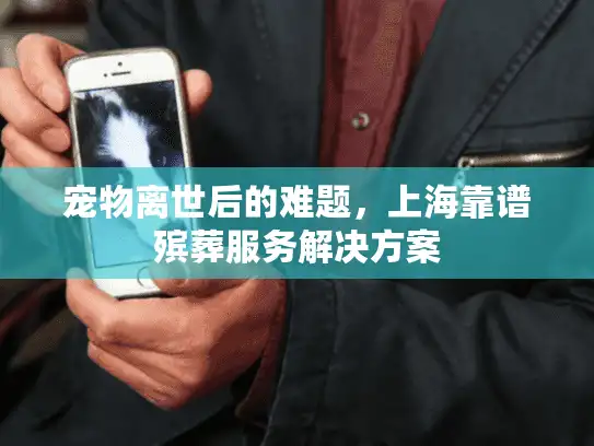宠物离世后的难题，上海靠谱殡葬服务解决方案