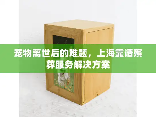 宠物离世后的难题，上海靠谱殡葬服务解决方案