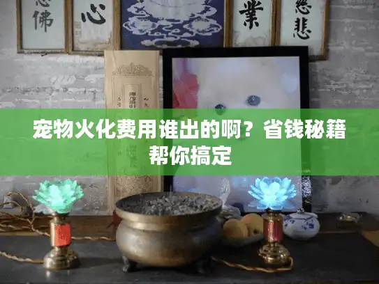 宠物火化费用谁出的啊？省钱秘籍帮你搞定