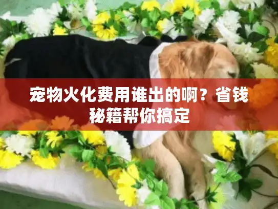 宠物火化费用谁出的啊？省钱秘籍帮你搞定