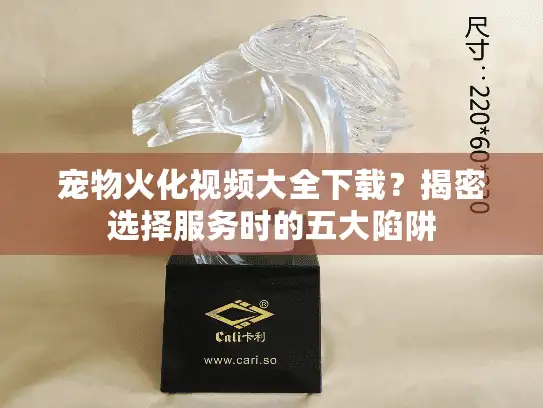 宠物火化视频大全下载？揭密选择服务时的五大陷阱