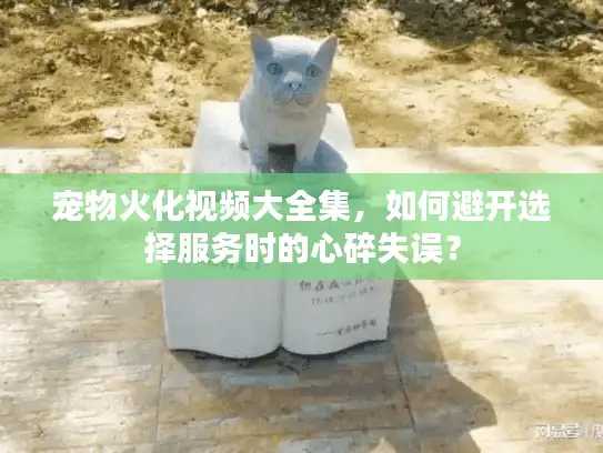 宠物火化视频大全集，如何避开选择服务时的心碎失误？