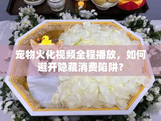 宠物火化视频全程播放，如何避开隐藏消费陷阱？