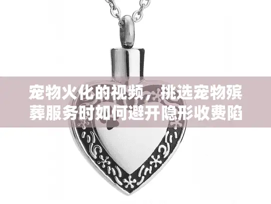 宠物火化的视频，挑选宠物殡葬服务时如何避开隐形收费陷阱？