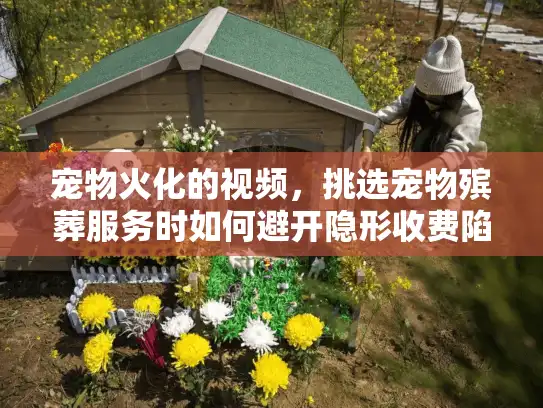 宠物火化的视频，挑选宠物殡葬服务时如何避开隐形收费陷阱？