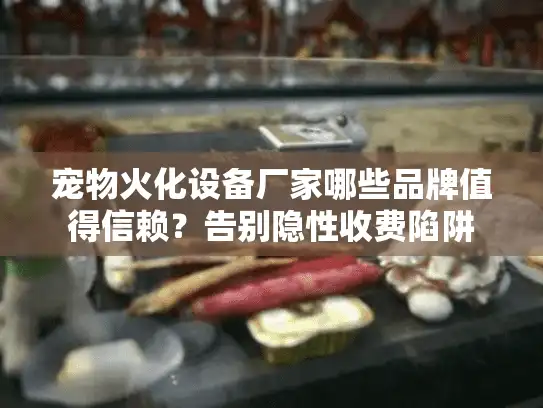 宠物火化设备厂家哪些品牌值得信赖？告别隐性收费陷阱