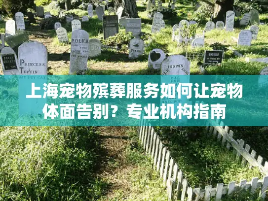 上海宠物殡葬服务如何让宠物体面告别？专业机构指南