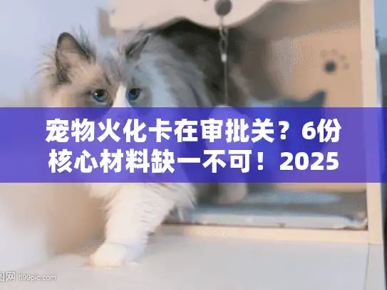 宠物火化卡在审批关？6份核心材料缺一不可！2025新版）