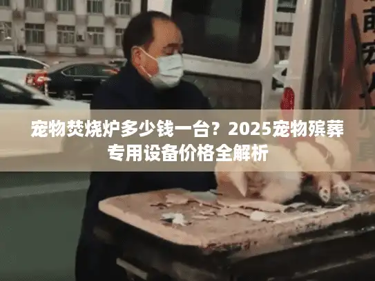 宠物焚烧炉多少钱一台？2025宠物殡葬专用设备价格全解析