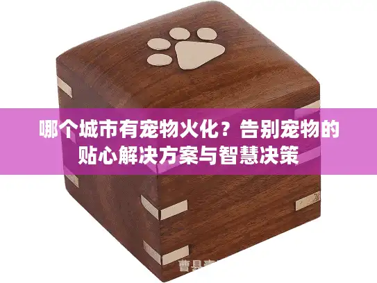 哪个城市有宠物火化？告别宠物的贴心解决方案与智慧决策