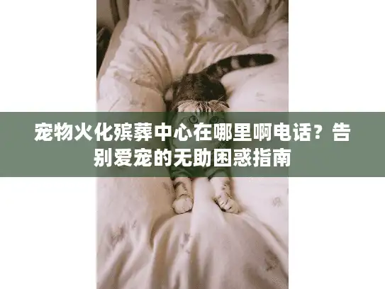 宠物火化殡葬中心在哪里啊电话？告别爱宠的无助困惑指南
