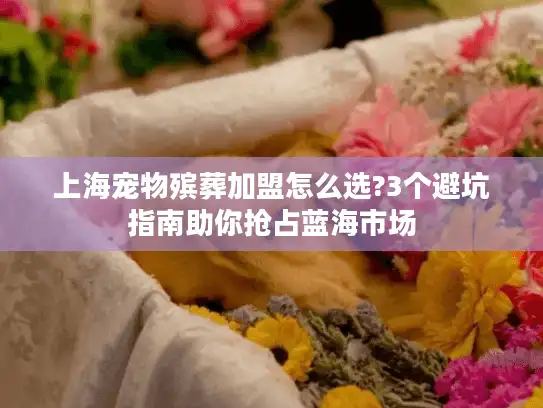 上海宠物殡葬加盟怎么选?3个避坑指南助你抢占蓝海市场