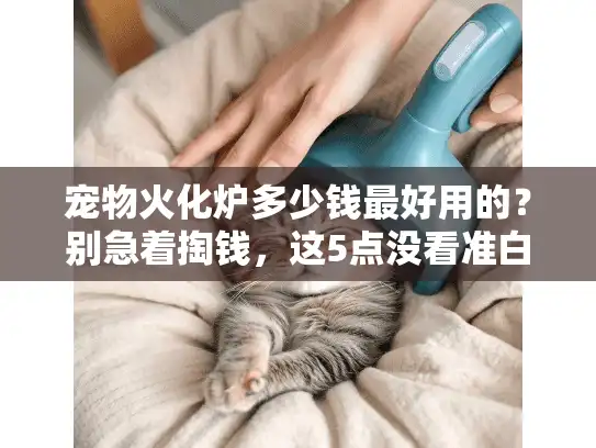 宠物火化炉多少钱最好用的？别急着掏钱，这5点没看准白花钱！