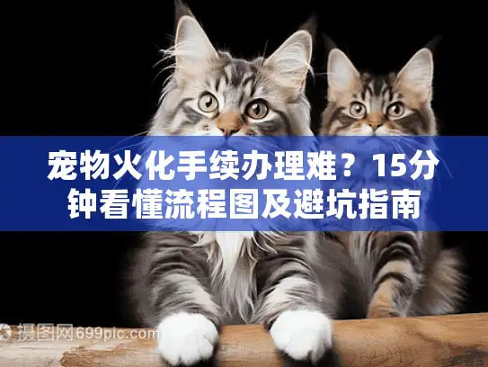宠物火化手续办理难？15分钟看懂流程图及避坑指南