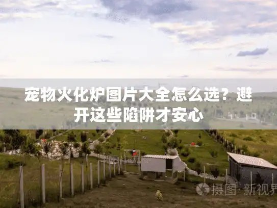 宠物火化炉图片大全怎么选？避开这些陷阱才安心