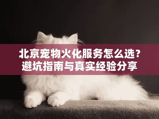 北京宠物火化服务怎么选？避坑指南与真实经验分享