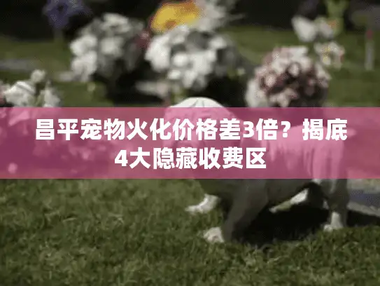 昌平宠物火化价格差3倍？揭底4大隐藏收费区
